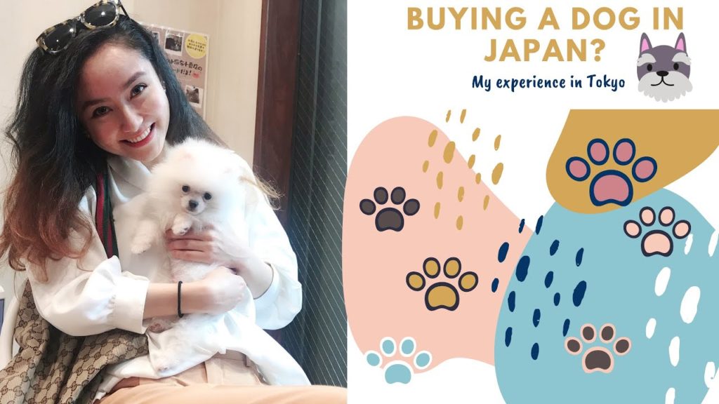 Planning to Purchase a Dog in Japan?—A Visit to Pet Store in Tokyo [P’s First]