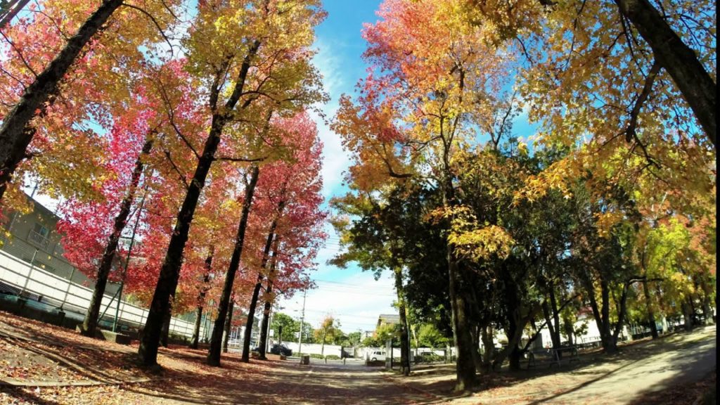Time Lapse in Okayama Prefectural Multipurpose Ground