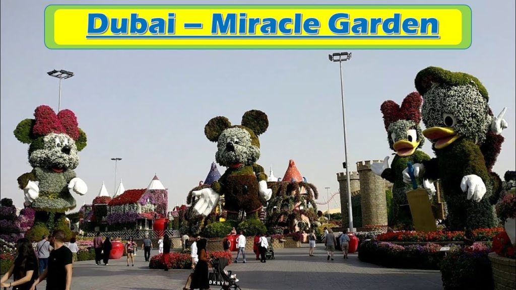Dubai Miracle Garden - Stunningly Beautiful