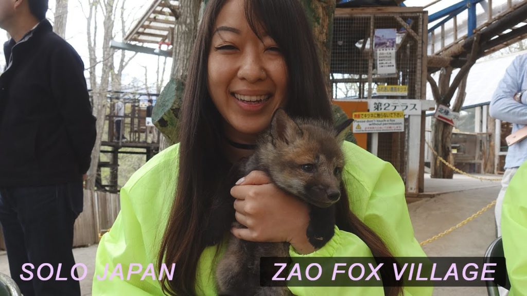 02 I Visting Zao Fox Village in Miyagi - SOLO JAPAN