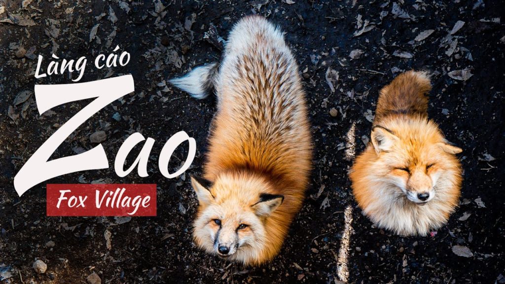 #16 KHÁM PHÁ LÀNG CÁO ZAO TỈNH MIYAGI, NHẬT BẢN | ZAO FOX VILLAGE JAPAN | Thảo Chan