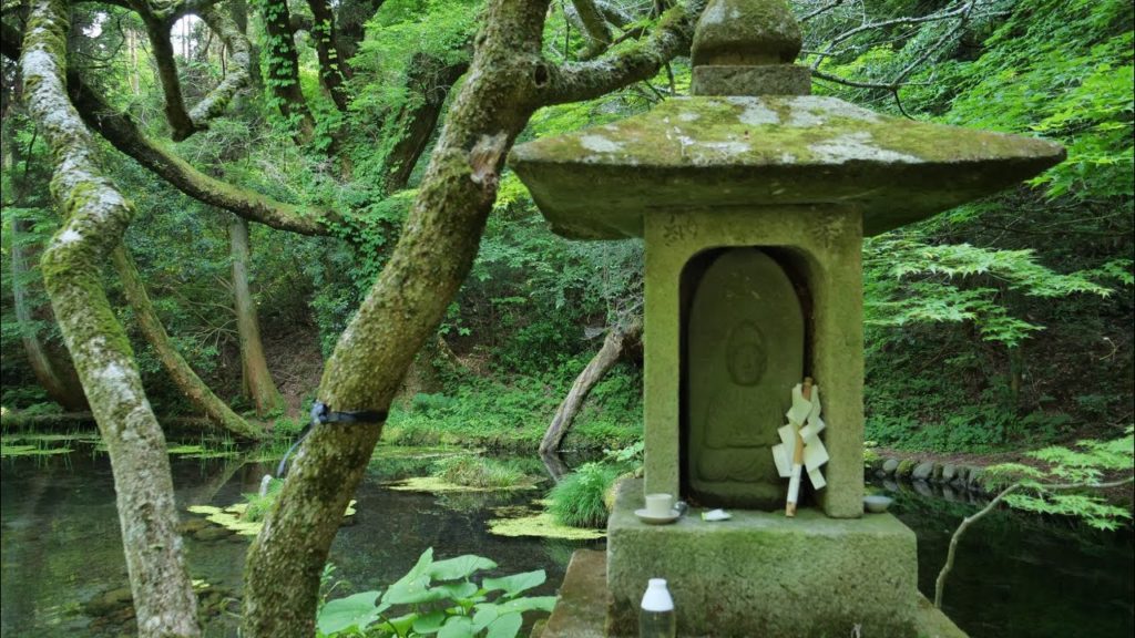 JG☆☆8K HDR Kumamoto,Yamabuki Spring,Microcosmos of Natural Healing 熊本 山吹水源 癒しの世界
