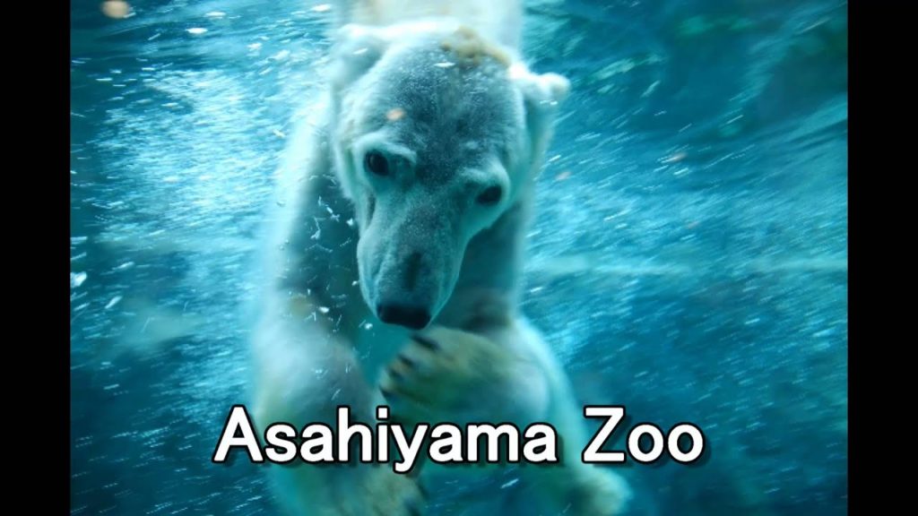 Japan Travel:  Sports, Nature, Festival, Food and More !! Hokkaido 01