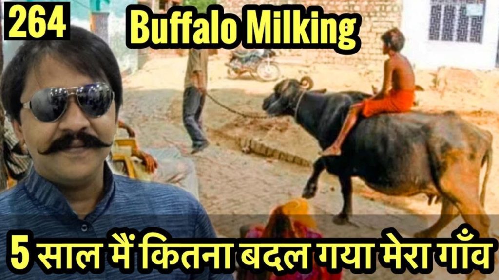 मेरा देसी खाना, Village  Life Vlog , Buffalo  Milking, Cycle Baba Ep. 264