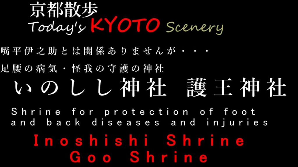 【京都散歩 KYOTO Walk】いのしし神社「護王神社」/嘴平伊之助とは関係ありませんが・・・
