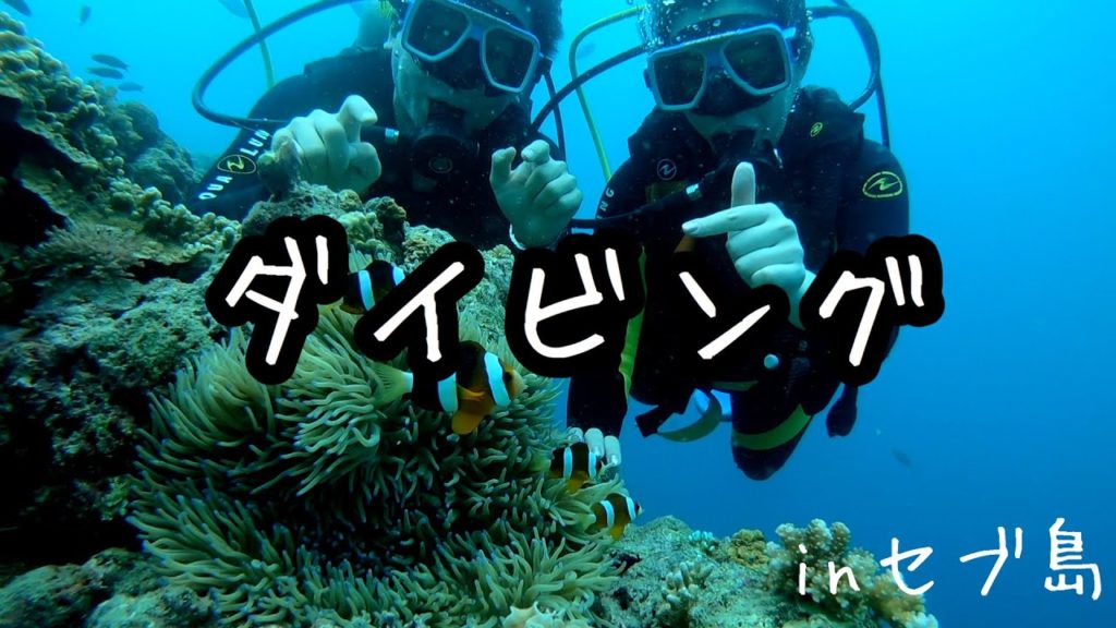 【ダイビング】セブ島の海でダイビング　Diving in Cebu Island