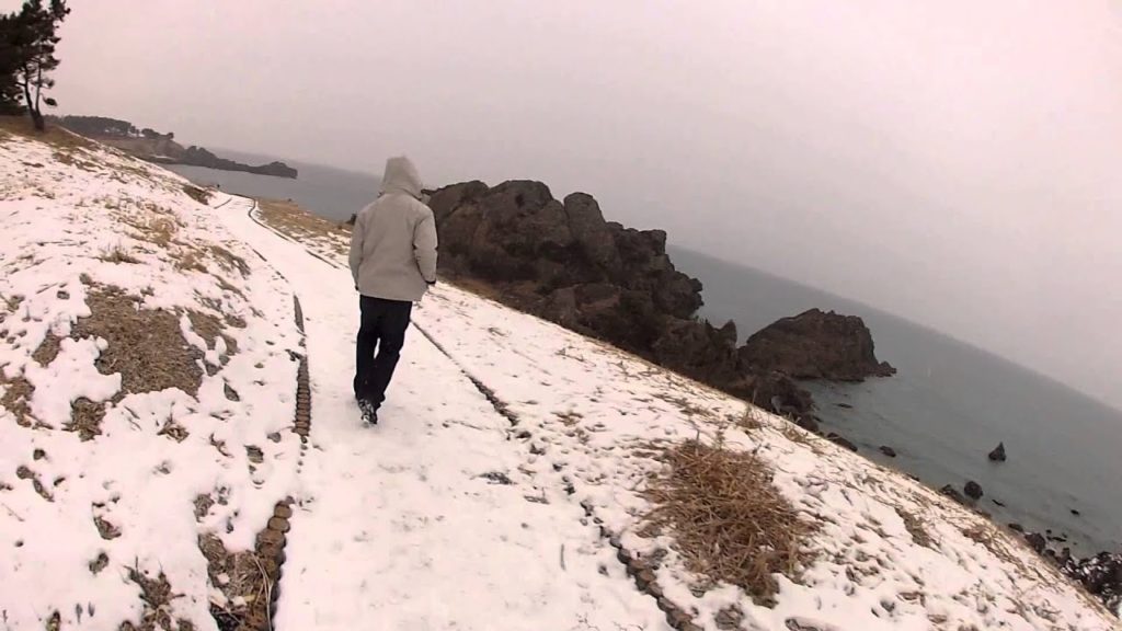 Misawa Adventure: Tanesashi Coast & Shirahama Beach, Hachinohe Misawa Adventure: Tanesashi Coast & Shirahama Beach, Hachinohe