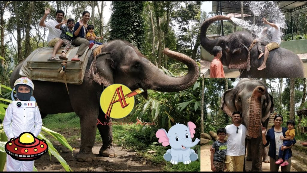 Exploring Kerala – A day with Elephants | Elephant shower | Time travel | Elephant Junction Exploring Kerala - A day with Elephants | Elephant shower | Time travel | Elephant Junction