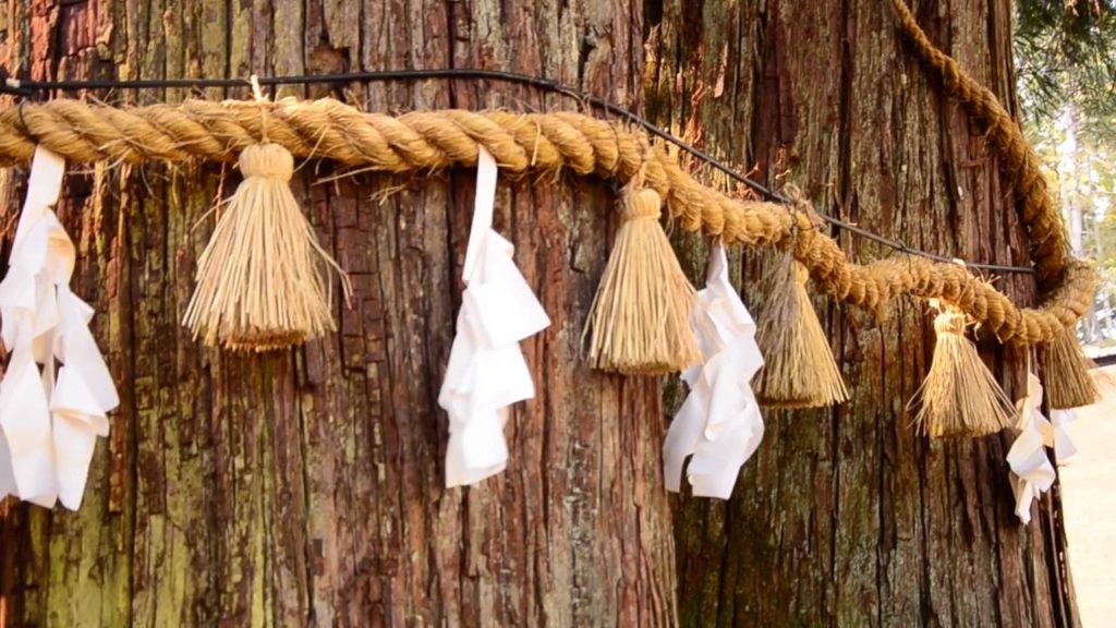 Two weeks in Japan / Dva týdny v Japonsku