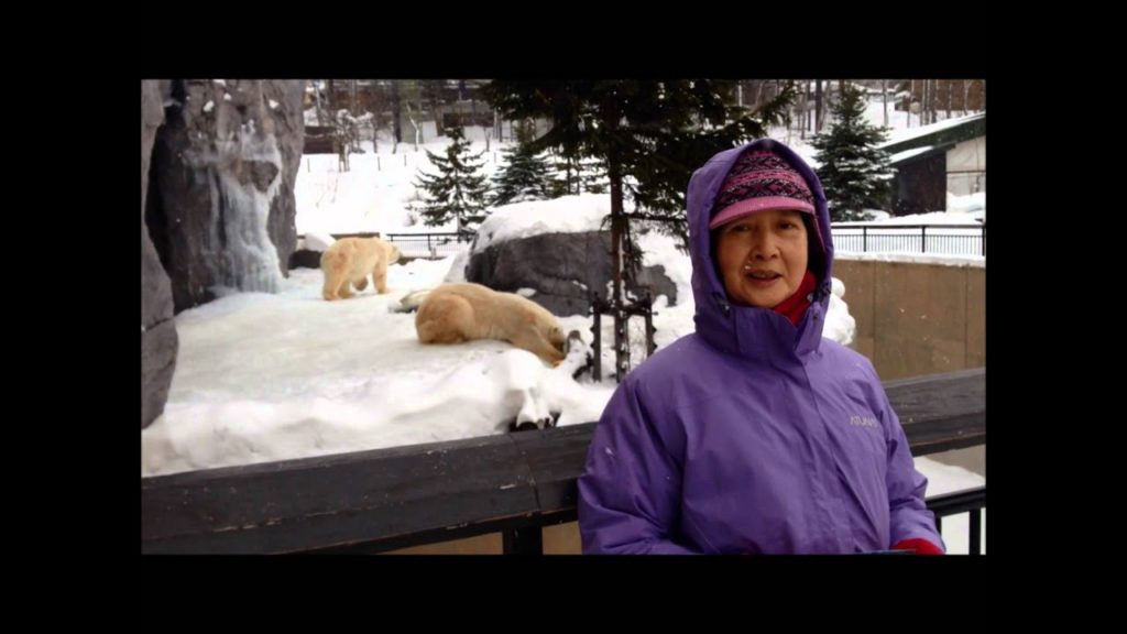 Hokkaido Trip   Polar Bear