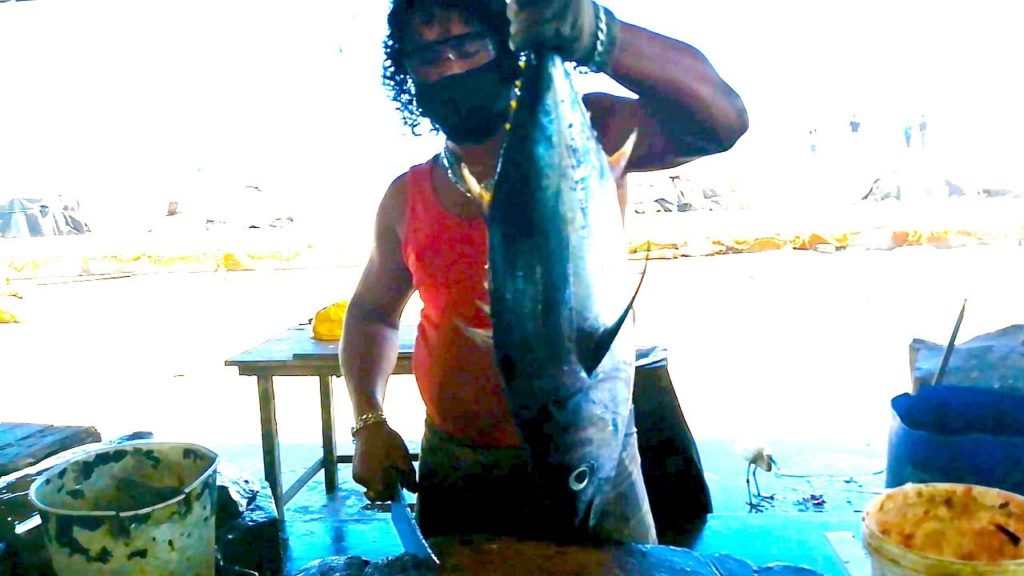 Cutting Tuna Fish | Fishing Life Sri Lanka