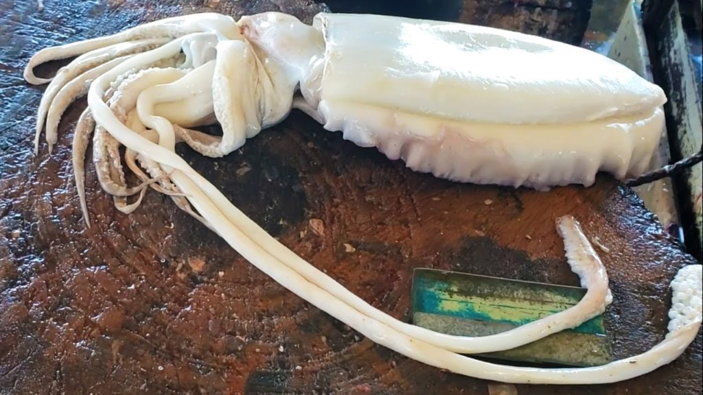 Cuttlefish Cleaning And Cutting | Fish Cutting Skills