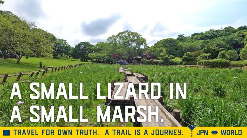 小さな湿原の小さなトカゲ。福岡の宮地嶽神社民家村 自然広苑。