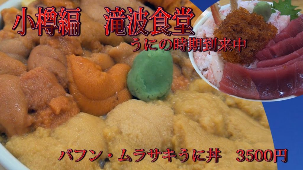 【北海道のグルメ旅】小樽市三角市場の滝波食堂のうに丼が超旨い！！！わがまま丼（海鮮丼）も旨い。サービスで焼き魚も最高！！まだまだうにの時期です。余市・積丹にもひけをとらないくらいの美味しいうに丼でした