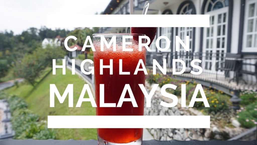 Follow Me To Cameron Highlands, Malaysia | zoeypky