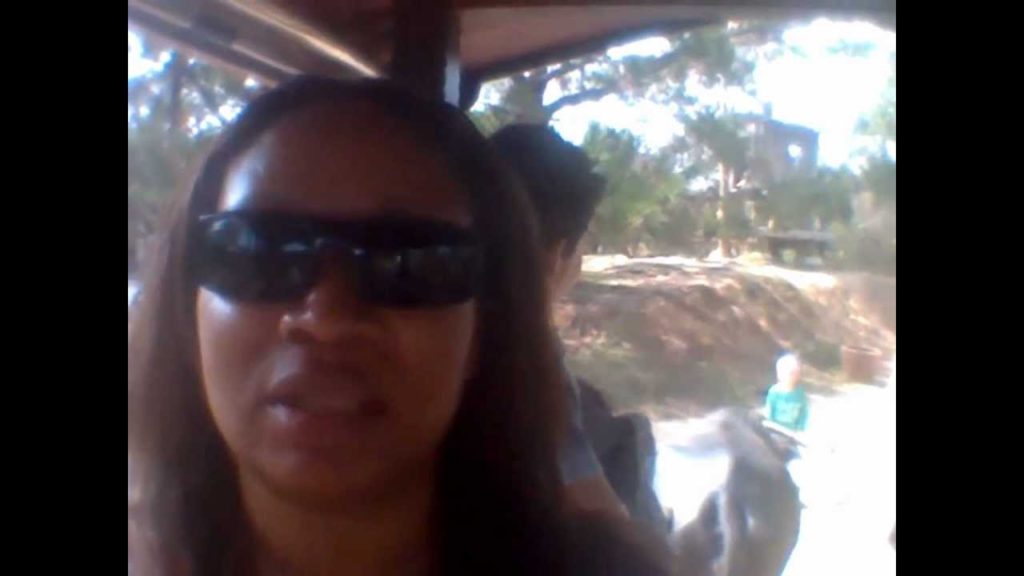 BIOS nature reserve and the shenanigans (Okinawa)