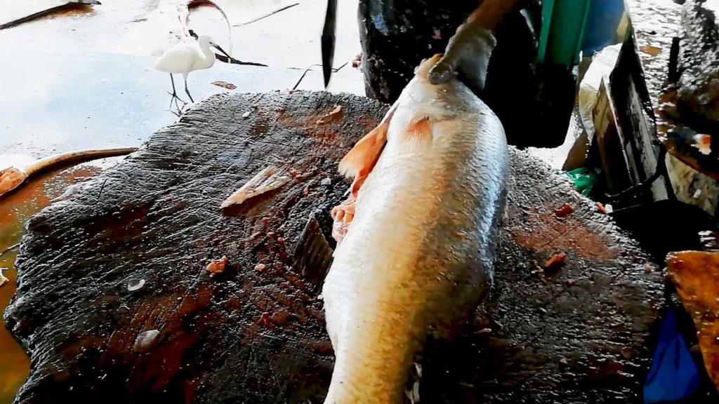 Cutting Sea Bass Fish | Sea Food Sri Lanka