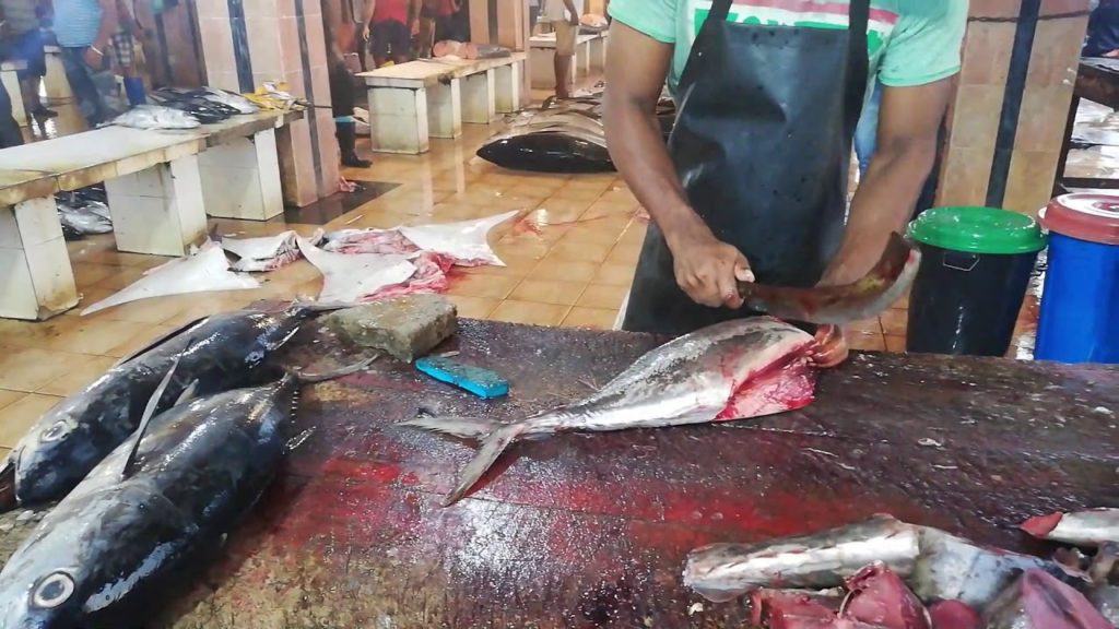 Cutting Tuna Fish Negombo Lellama