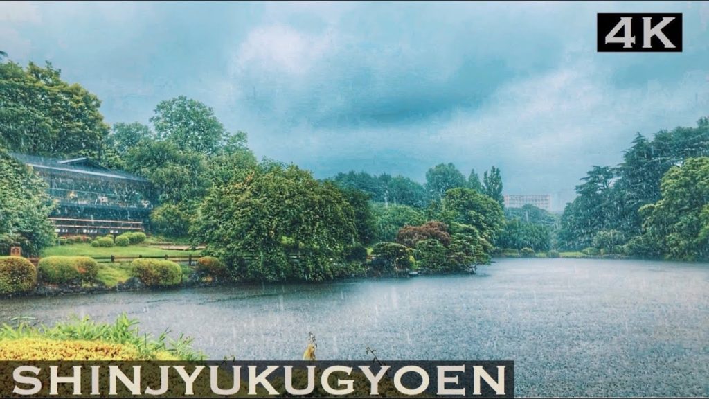 Tokyo Walking rainy in Shinjuku Gyoen 4K【Japan Travel Guide】