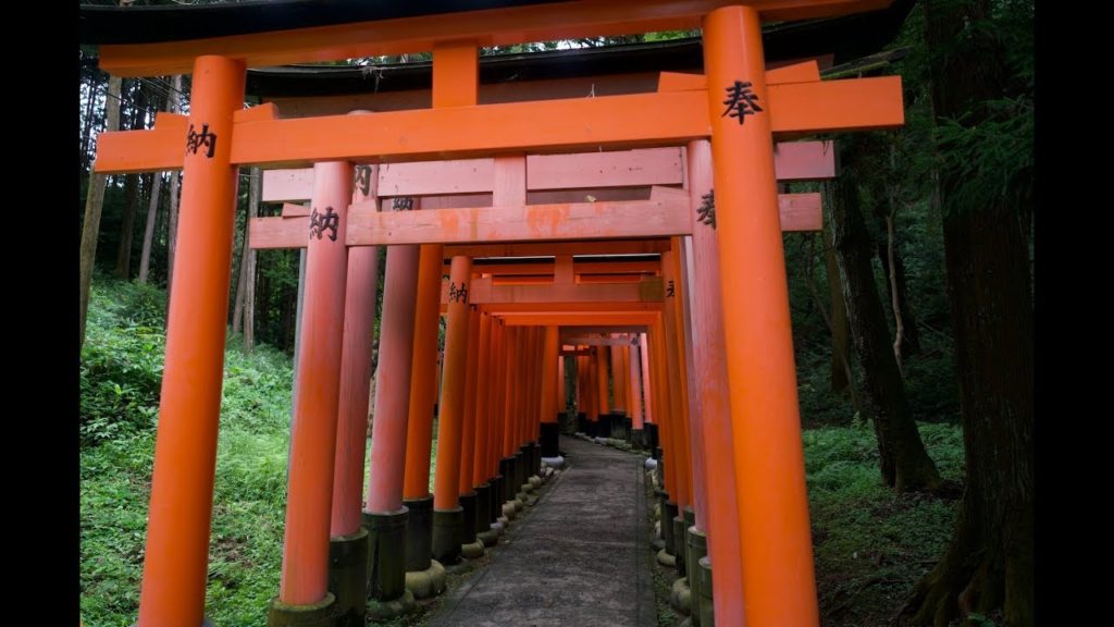Seulement au Japon - Torii rouges au sanctuaire Fushimi Inari-Taisha de Kyoto