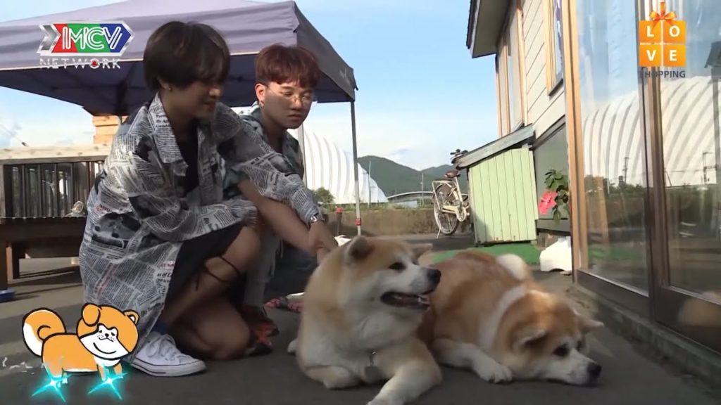 Quá nhiều sự dễ thương: Việt Thi và Winner tại công viên gấu và Hội quán bảo tồn chó Akita|DLKT 2020 Quá nhiều sự dễ thương: Việt Thi và Winner tại công viên gấu và Hội quán bảo tồn chó Akita|DLKT 2020