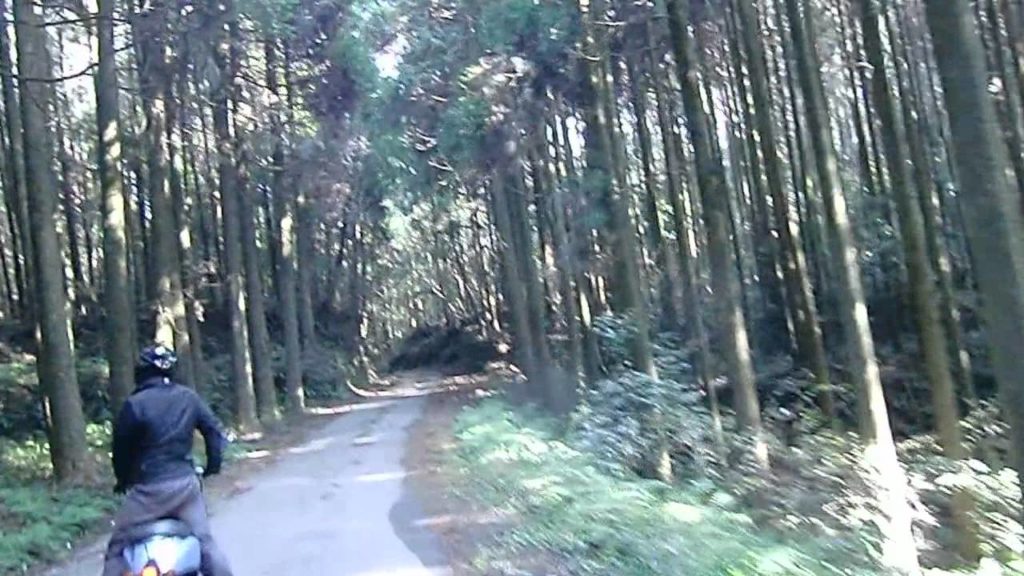 Scooting Around throught the Forests of Kagoshima, Japan