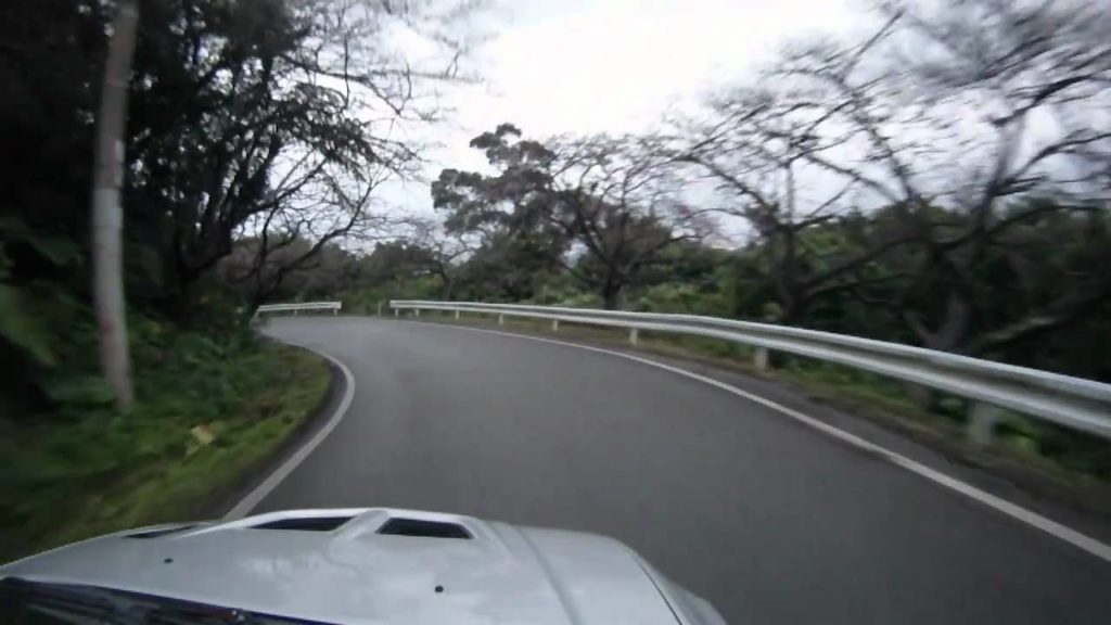 Okinawa, Japan Cherry Blossom Road 23 Jan 2011