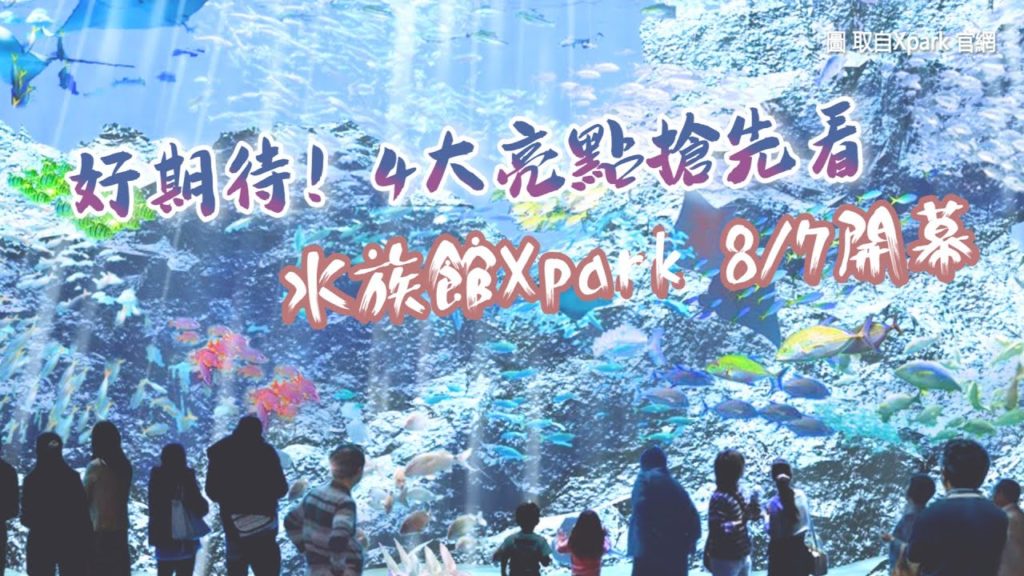 好期待！桃園八景島水族館Xpark 8/7開幕　4大亮點搶先看