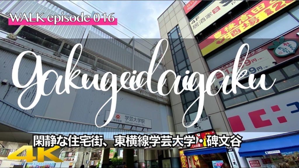 4K【学芸大学/碑文谷】学芸大学・駅前商店街から碑文谷へぶらり散歩 / Walk to Himonya from Gakugei Daigaku station , Tokyo, Japan