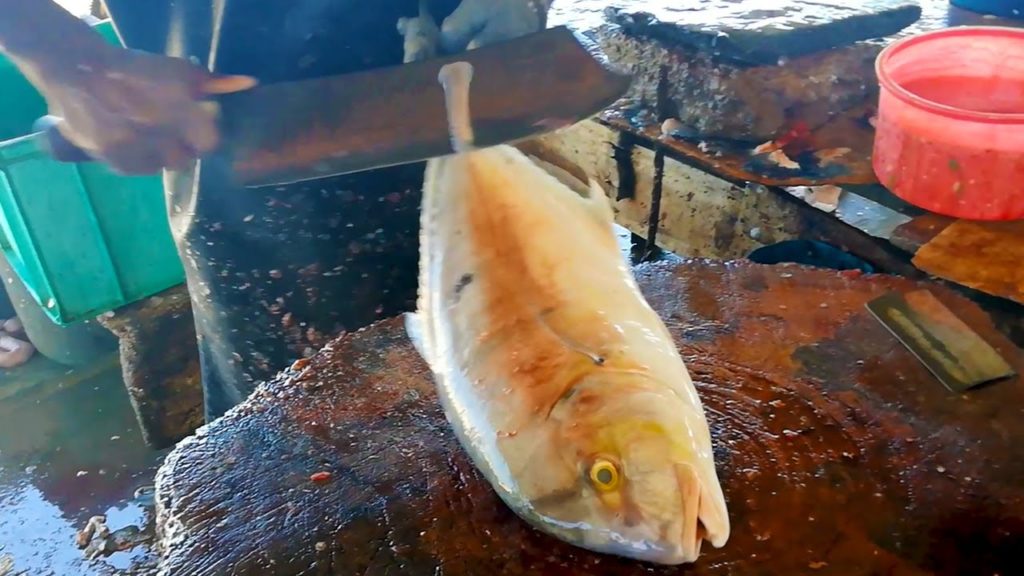 Trevally Fish Cutting | Fish Cutting Experts Sri Lanka