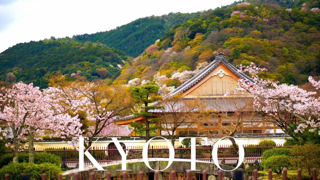 CHERRY BLOSSOMS GALORE IN KYOTO JAPAN - RTW Trip Part 2