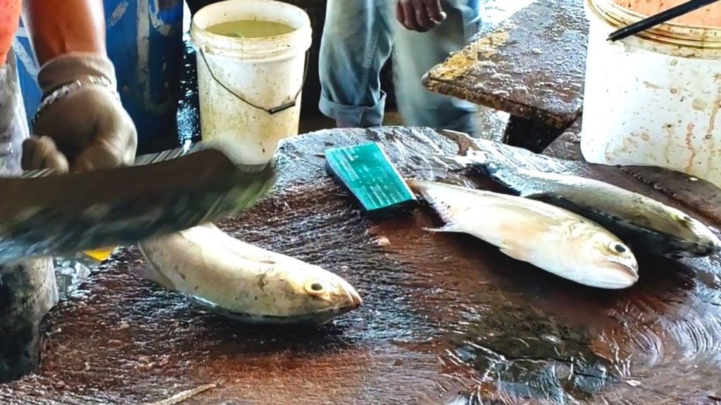 Trevally Fish Cutting | Fish Cutting Experts