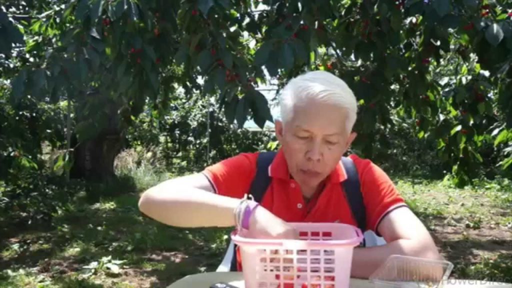 Cherry Farm in Hokkaido