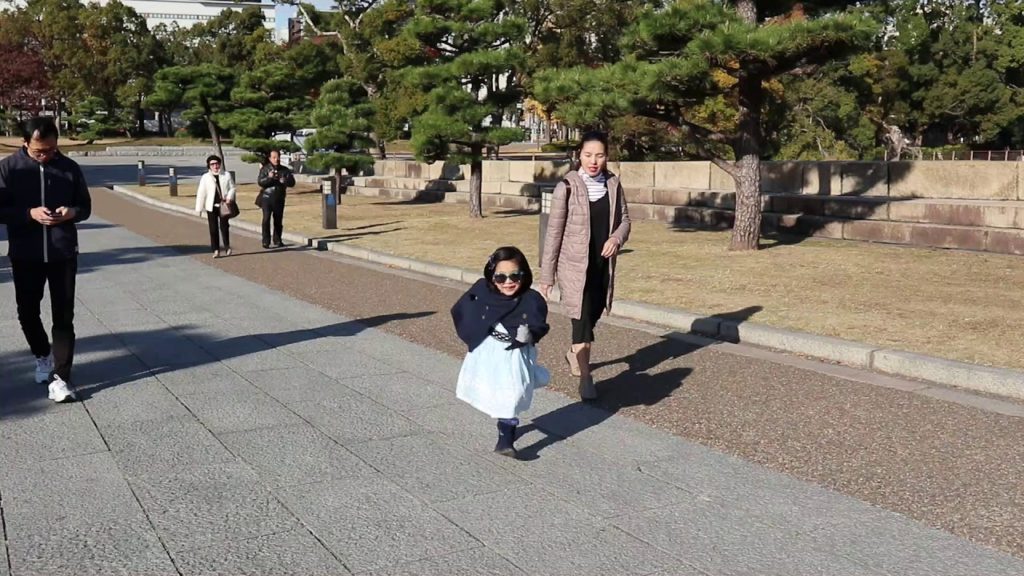 Autumn Foliage in Osaka