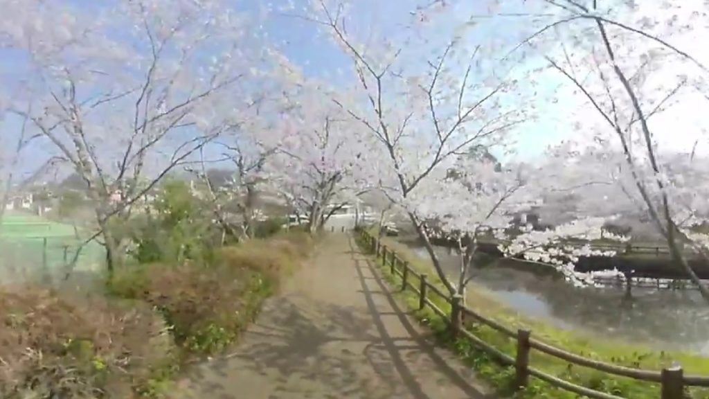 [360 Video] Tachioka Nature Park（立岡自然公園） Route3｜ Kumamoto VR Walker