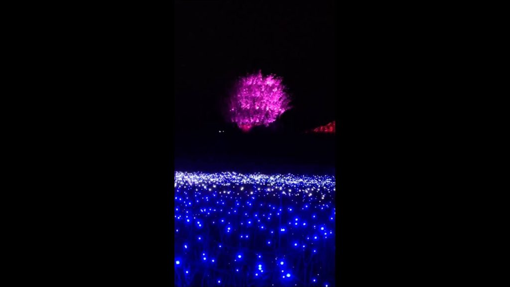 Winter light illumination show