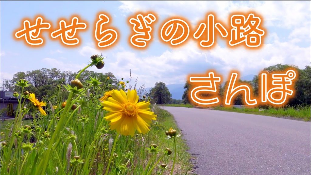 信州安曇野『せせらぎの小路』さんぽ　ー　Nagano prefecture Azumino city "river road" walk