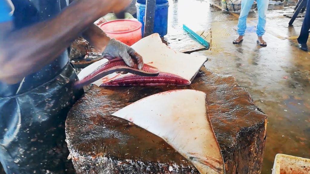 Perfect Ray Fish Slices | Best Sea Food Sri Lanka Perfect Ray Fish Slices | Best Sea Food Sri Lanka