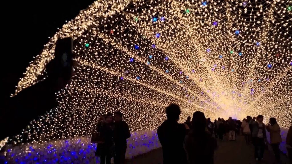 Summary of JAPAN WINTER TRIP 2015