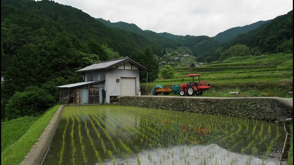 明日香村の棚田集落【田舎散歩・棚田百選・田園風景】（奈良県高市郡）