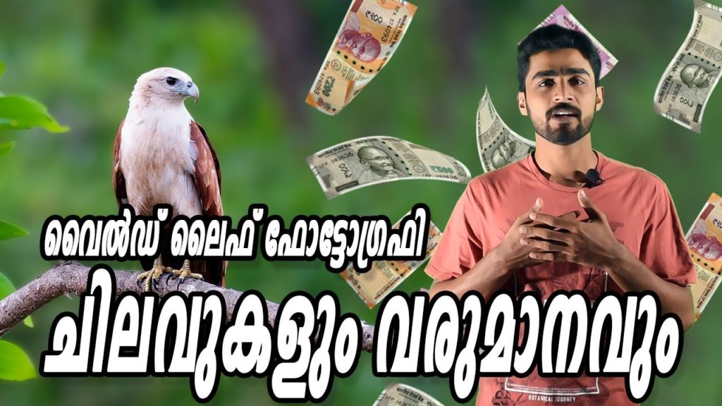 Income and Expenses of Wildlife Photography || വൈൽഡ് ലൈഫ് ഫോട്ടോഗ്രഫിയിലെ വരുമാനവും ചിലവുകളും