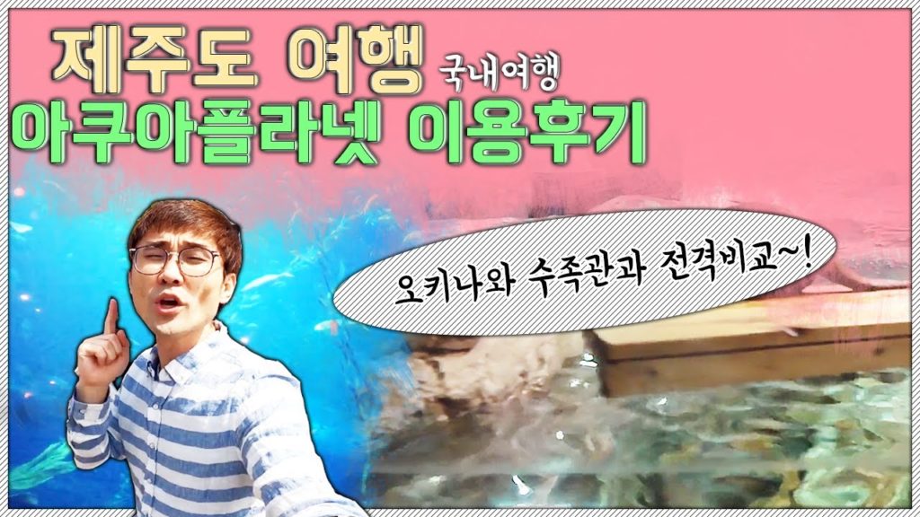 국내여행ㅣ제주도여행ㅣ아쿠아플라넷 - 제주도여행 아쿠아플라넷 이용후기!