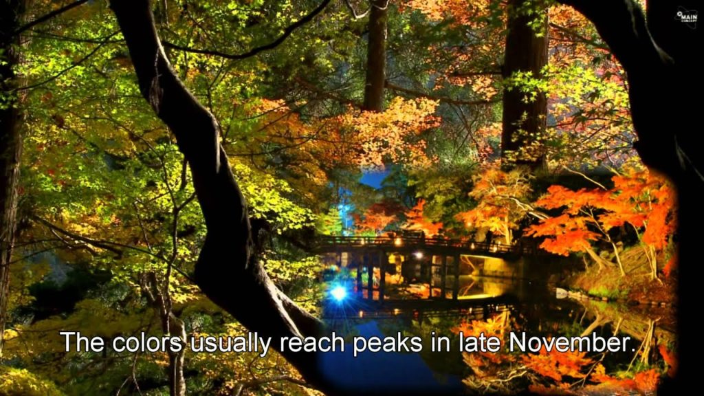 Japan Trip: Minoo Park hiking trail enjoy nature near metropolitan city, Osaka