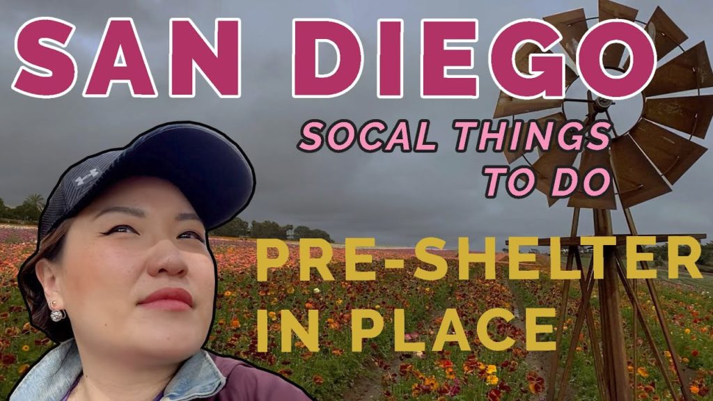 San Diego Flower Fields Carlsbad 2020 SoCal Travel Vlog