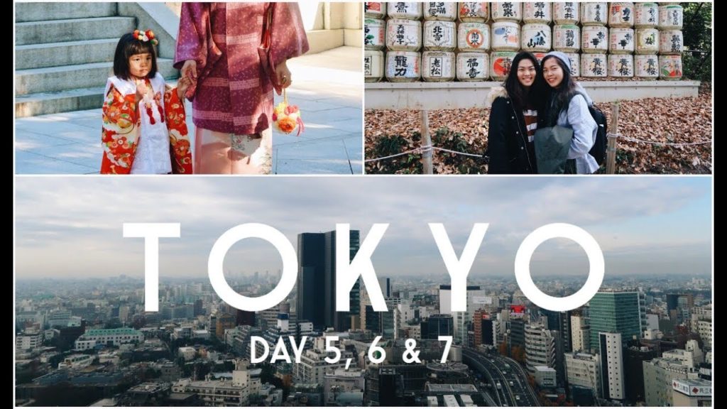 TOKYO, JAPAN VLOG 2016 | Trippy Cafes, Premium Outlets & MORE Food Hunting!!
