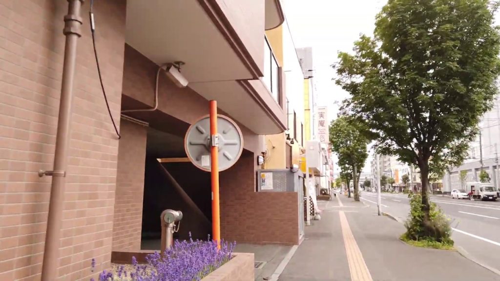 DJI Osmo Pocket【麻生駅から24条駅まで散歩】Walk Around hokkaido japan