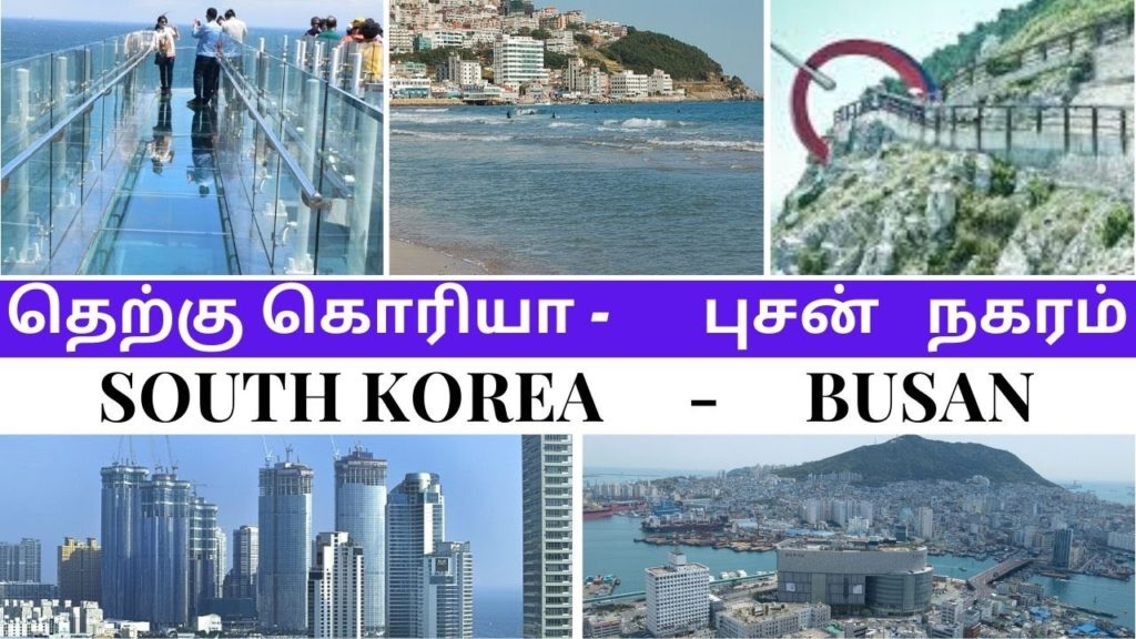 BUSAN-South Korea|Largest fishing in Korea- Busan|Busiest, Largest Port in Korea|Harbour|புசன் நகரம்