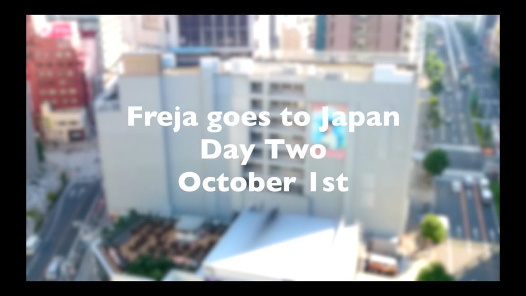 JAPAN TRIP DAY2 | FREJA IN THE BOX