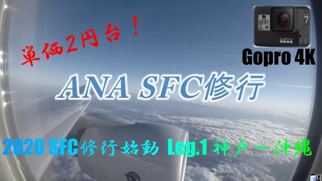 【Leg.1】2020 SFC修行始動 PP単価は驚きの2円台！神戸～沖縄