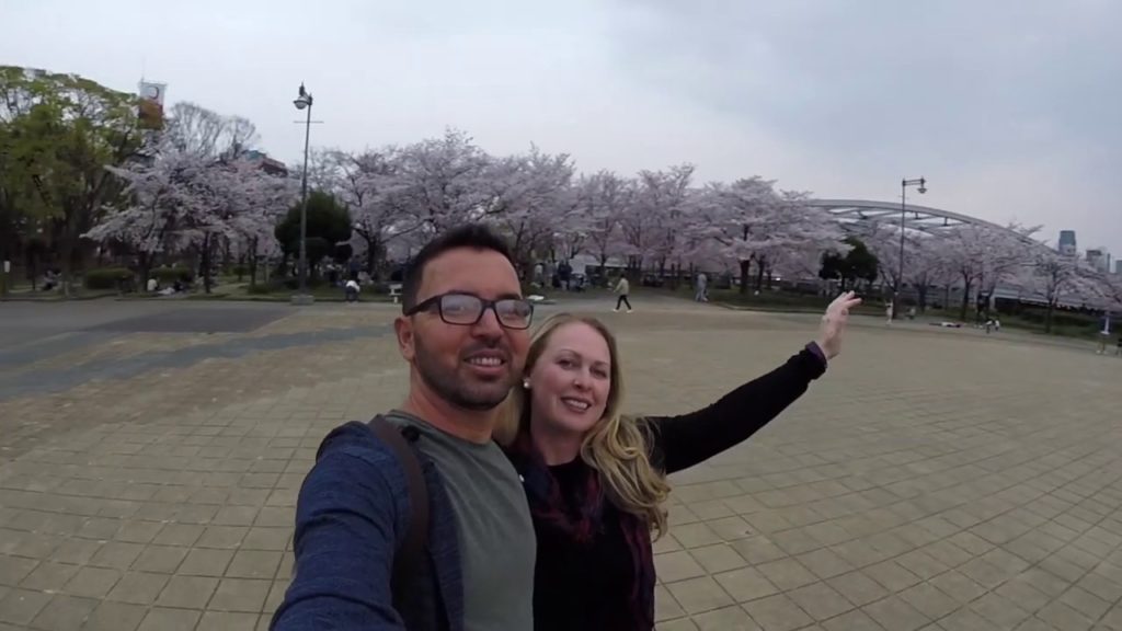 Sakura (Cherry Blossom) Season in Osaka, Japan